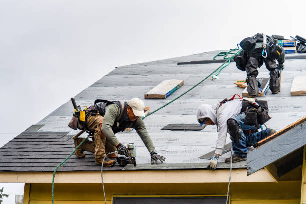 Professional Storm Damage Roof Repair technician working in Russell Springs, KY